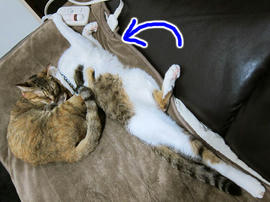 IMG06449.jpg