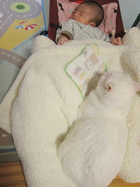 IMG06443.jpg