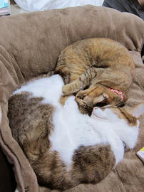 IMG06451.jpg