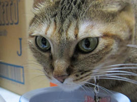IMG06454.jpg