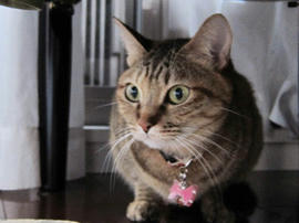 IMG06459.jpg