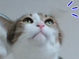IMG06458.jpg