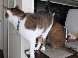 IMG06477.jpg