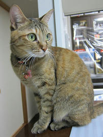 IMG06494.jpg