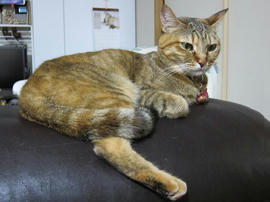 IMG06498.jpg