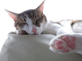 IMG06500.jpg