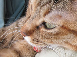 IMG06503.jpg