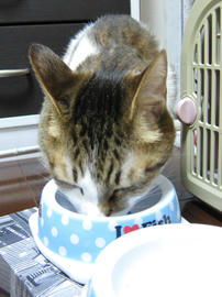 IMG06511.jpg