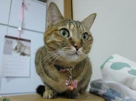 IMG06513.jpg