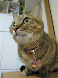IMG06514.jpg