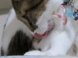 IMG06519.jpg