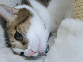 IMG06521.jpg