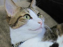 IMG06523.jpg