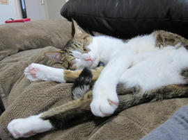 IMG06527.jpg