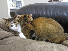IMG06530.jpg