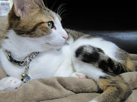 IMG06533.jpg