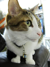 IMG06534.jpg