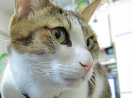IMG06535.jpg