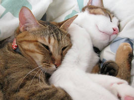 IMG06543.jpg
