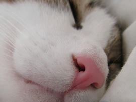IMG06544.jpg