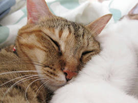 IMG06545.jpg