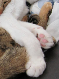 IMG06546.jpg