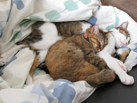 IMG06547.jpg