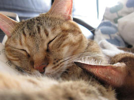 IMG06549.jpg