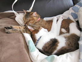 IMG06550.jpg