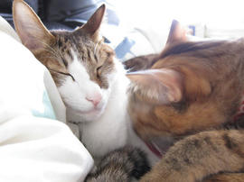 IMG06551.jpg