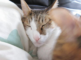IMG06552.jpg