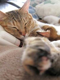 IMG06548.jpg