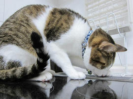 IMG06555.jpg