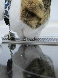 IMG06556.jpg