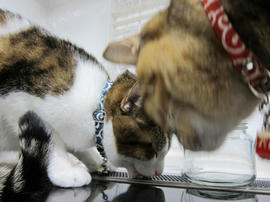 IMG06560.jpg