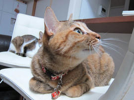 IMG06569.jpg