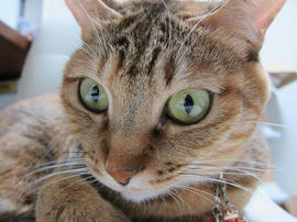 IMG06574.jpg