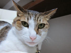 IMG06575.jpg