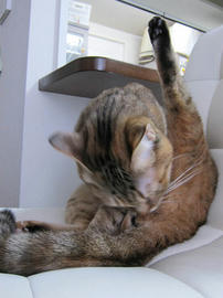 IMG06577.jpg