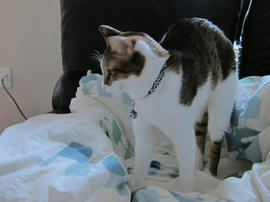 IMG06594.jpg