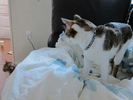 IMG06595.jpg