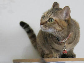 IMG06608.jpg
