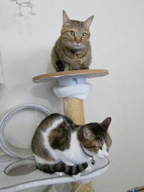 IMG06611.jpg