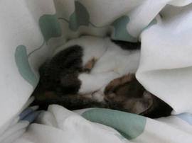 IMG06614.jpg