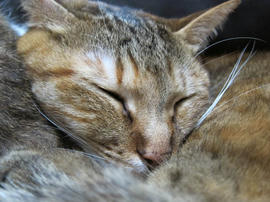 IMG06618.jpg