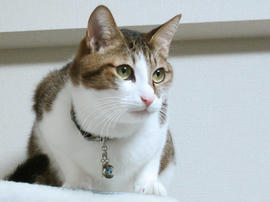 IMG06619.jpg