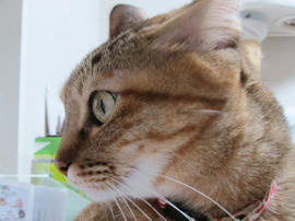 IMG06621.jpg