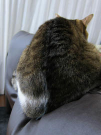 IMG06624.jpg