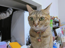 IMG06625.jpg