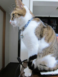 IMG06628.jpg